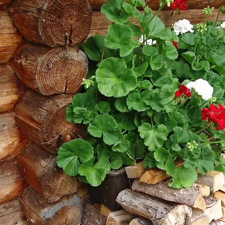 Almnest In Mit Privat Διαμέρισμα